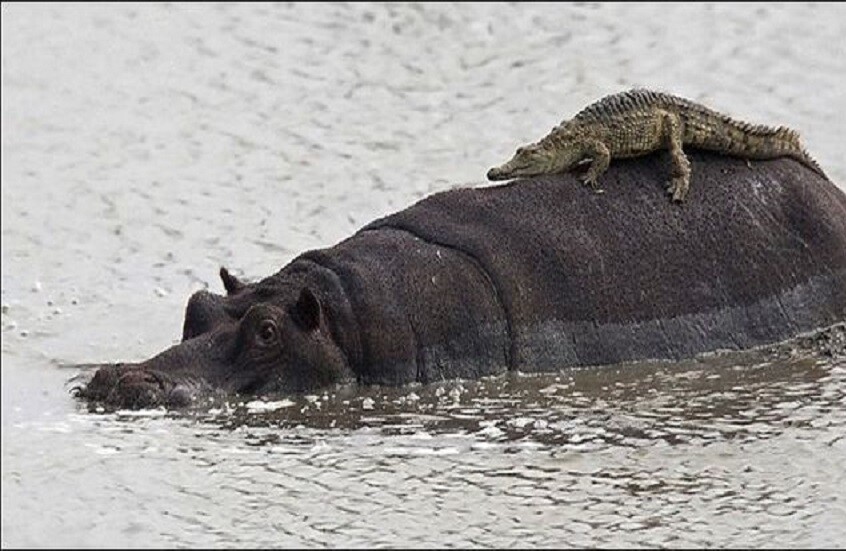 69e088e74c59b74d4b4b54b5