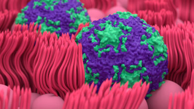 69e233c94236046e8e6b1d24