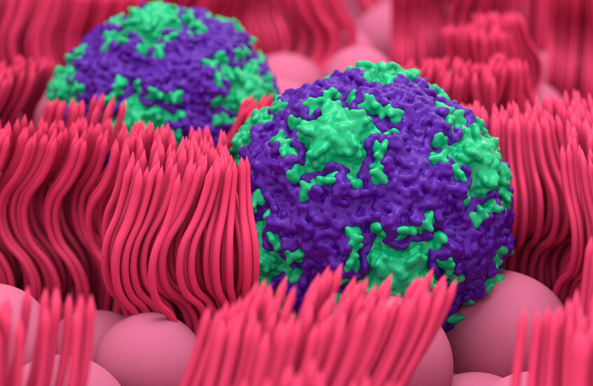 69e233c94236046e8e6b1d24