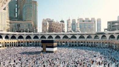 69e33d8842360474f83c1508