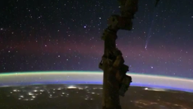 69e60d334c59b73c13190565