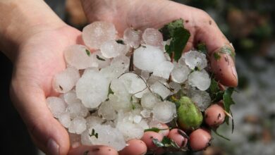 69e7761a4c59b76b13680f98