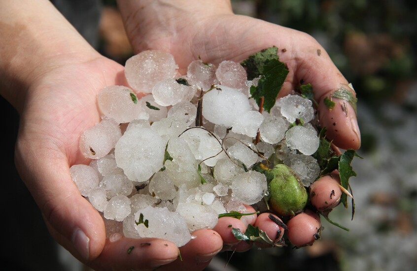 69e7761a4c59b76b13680f98