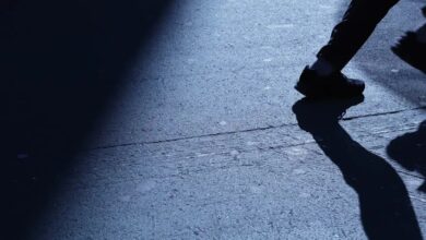 69e9d6d64c59b744077b34c8