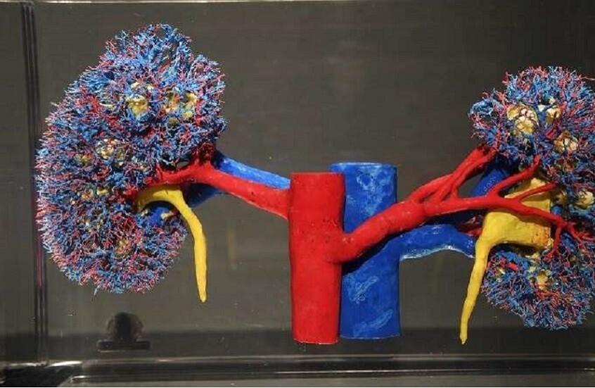 69eb32cc4236041d710fa16c