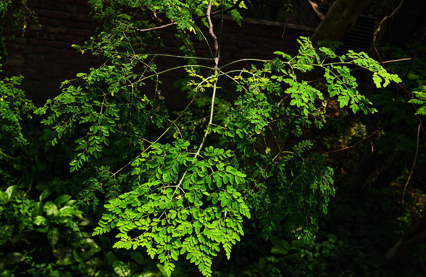 69eb823942360454a344e7ea