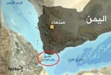 IMG ٢٠٢٦٠٤٠٤ ١١٤١٢٣