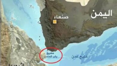 IMG ٢٠٢٦٠٤٠٤ ١١٤١٢٣