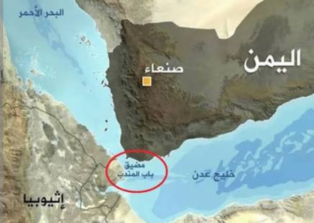 IMG ٢٠٢٦٠٤٠٤ ١١٤١٢٣