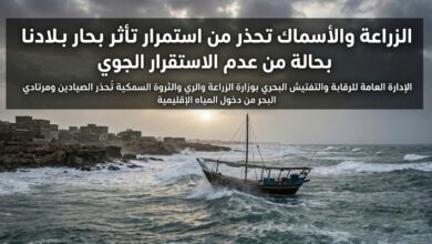 IMG ٢٠٢٦٠٤١٦ ٠٠٥٩٢٣ 01