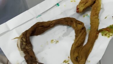 IMG ٢٠٢٦٠٤٢٦ ١٦١١١٦