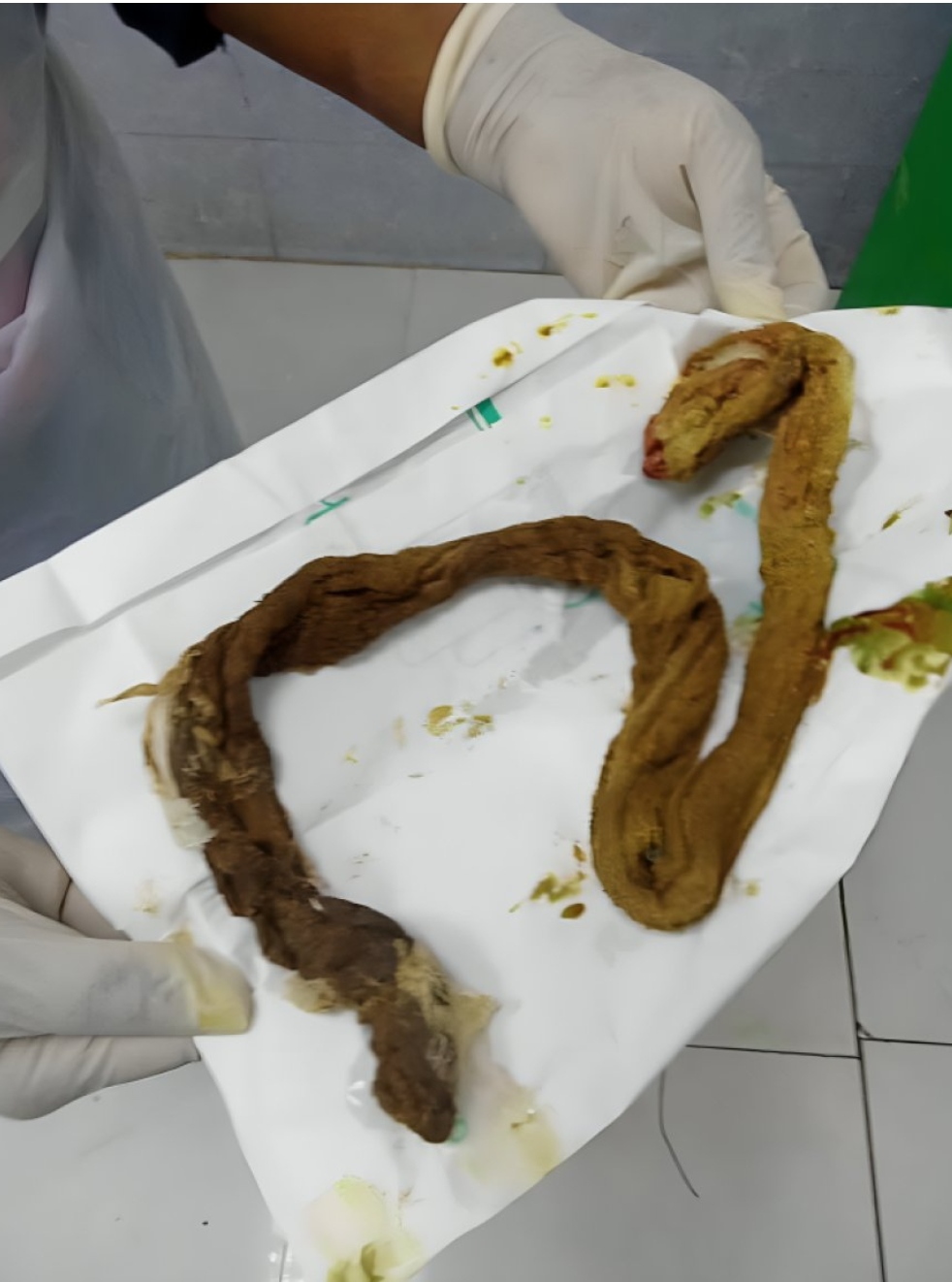 IMG ٢٠٢٦٠٤٢٦ ١٦١١١٦