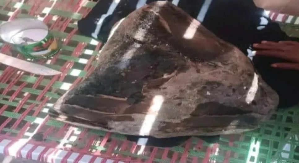 IMG ٢٠٢٦٠٤٢٧ ١٩١٨٤٢