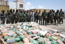 Shotcom FB IMG 1776195797623