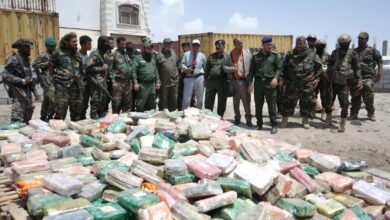 Shotcom FB IMG 1776195797623