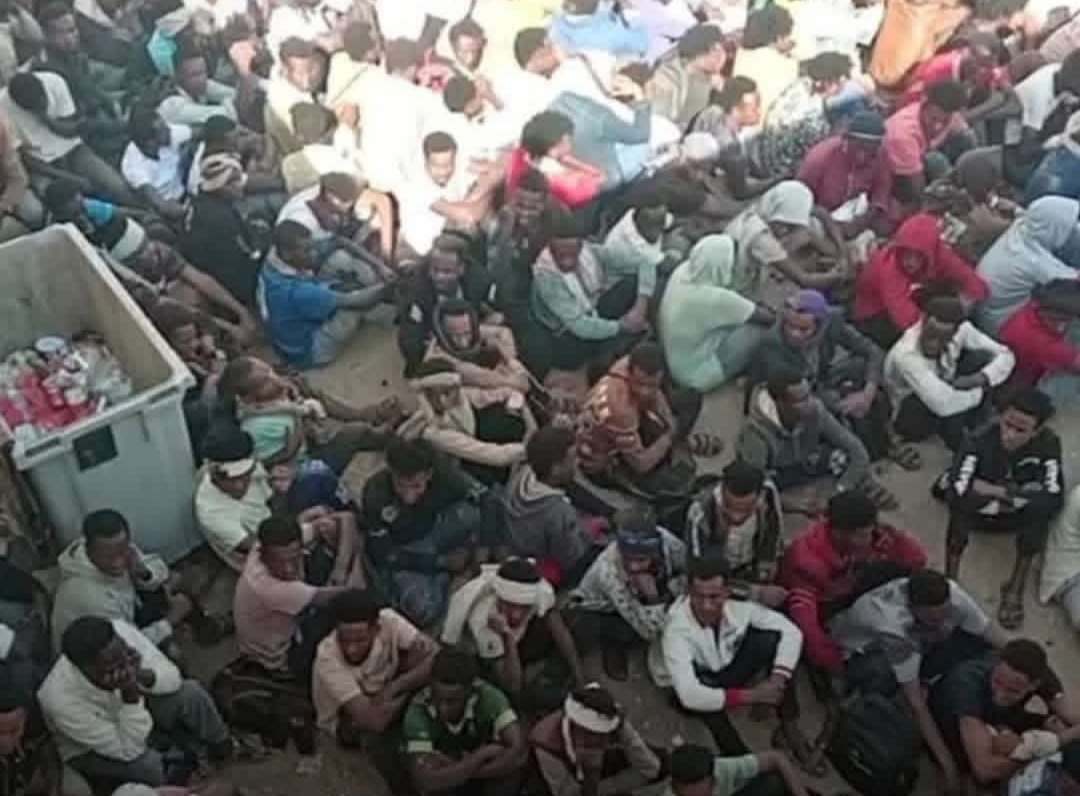 Shotcom ٢٠٢٦٠٤٢٥ ٠١٣٨٠٨