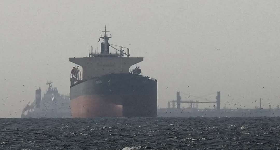 Shotcom ٢٠٢٦٠٤٢٥ ٠١٣٨٤٦