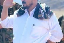 IMG ٢٠٢٦٠٥١٦ ٠١٥٠٠١