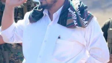 IMG ٢٠٢٦٠٥١٦ ٠١٥٠٠١