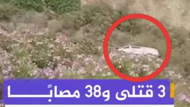 Shotcom ٢٠٢٦٠٥٢٣ ١١٣٦٠٢