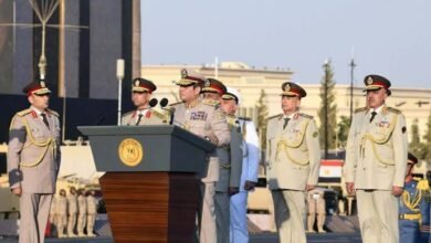 images 1 1
