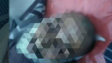 unnamed file 15