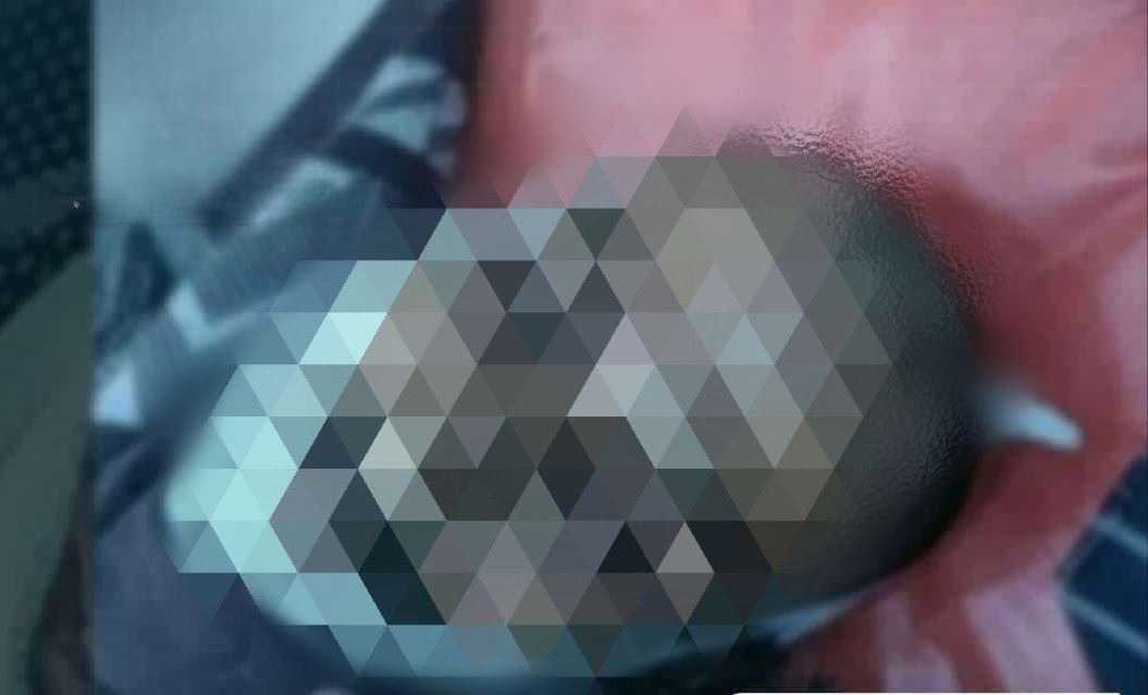 unnamed file 15