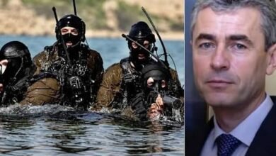 images 3 1
