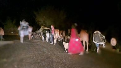 img 3