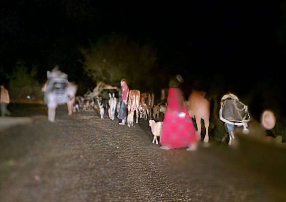 img 3