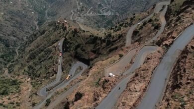 images 7